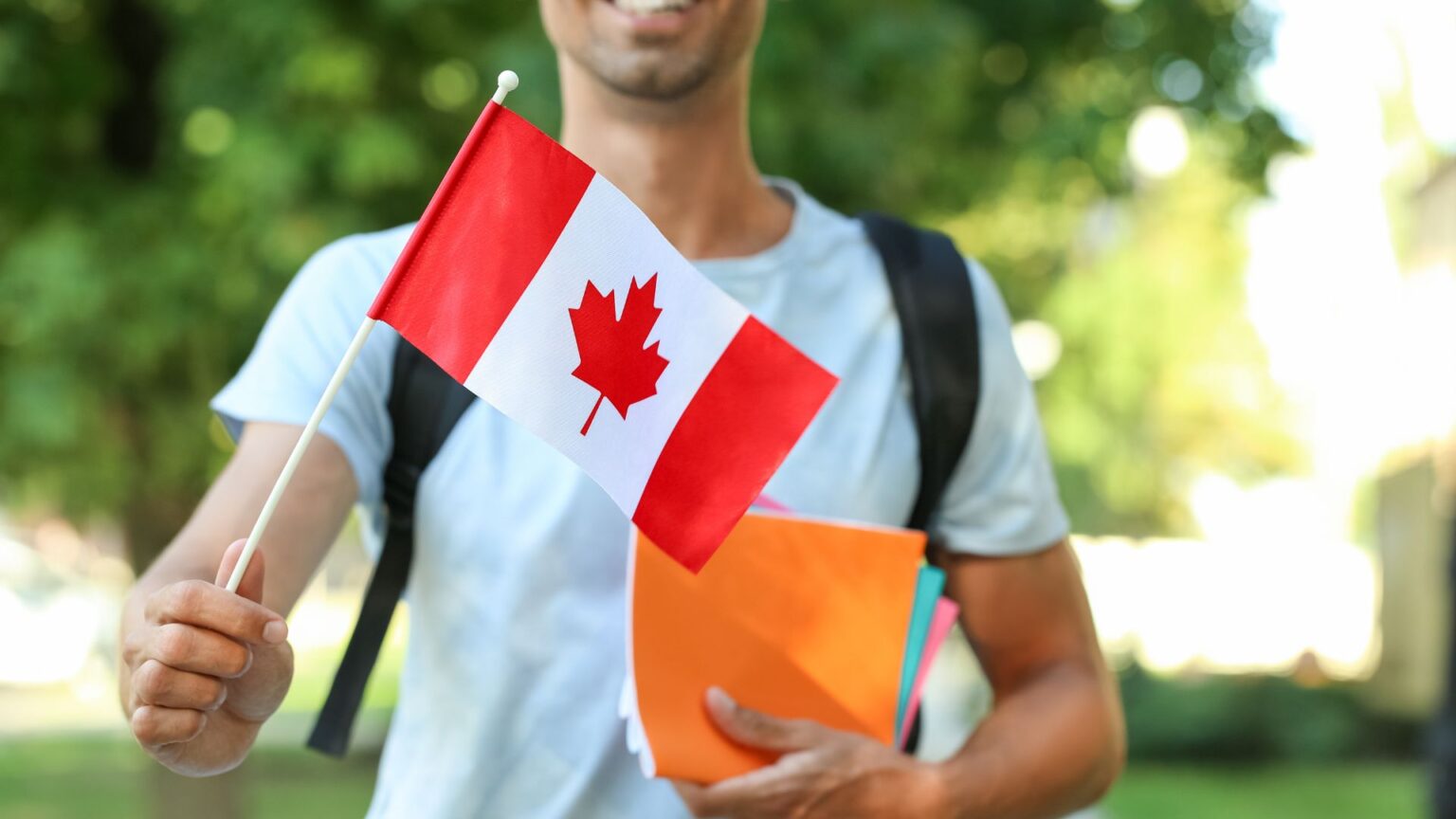 Canadian Visa Expert Canadian Visa Expert Many Immigrants Granted